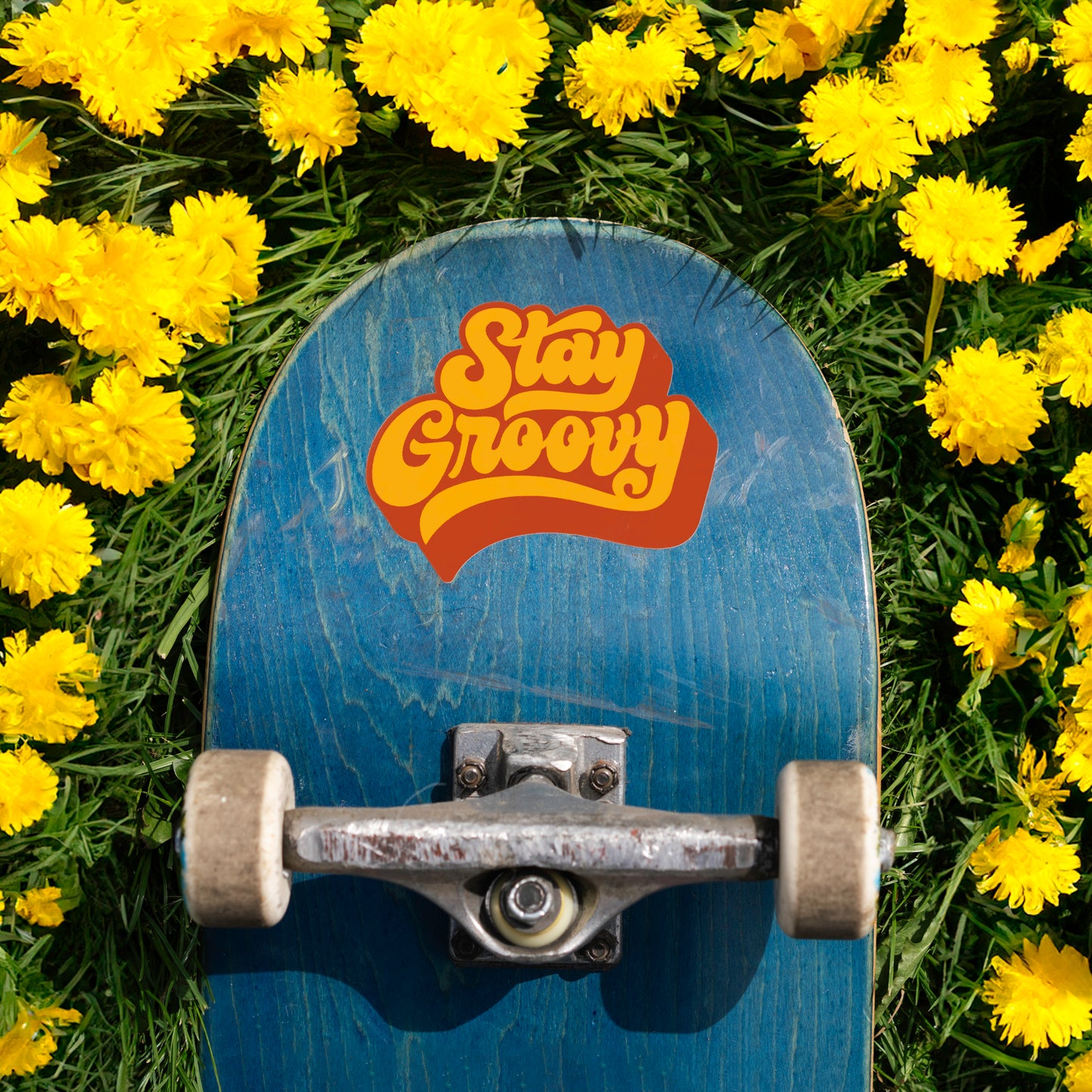 Stay Groovy Sticker